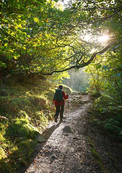 A woman hikes in the forest.