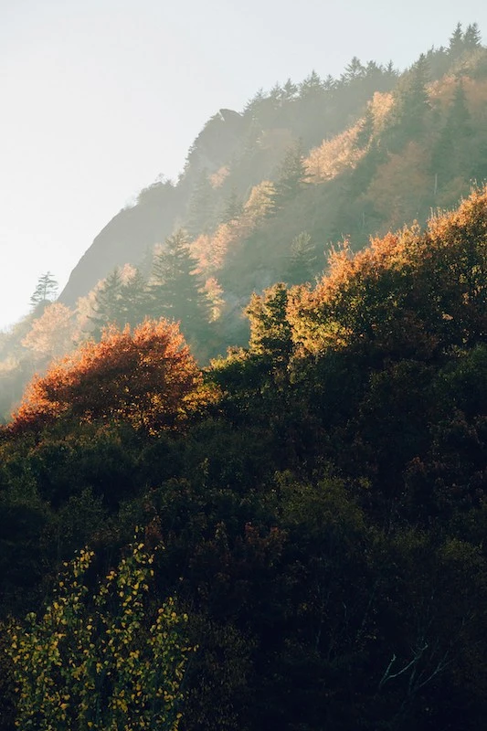 View of the mountains in North Carolina, the state where our fentanyl treatment center is located.