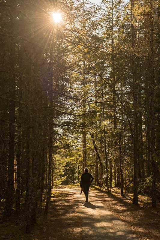 A person walks in the woods.