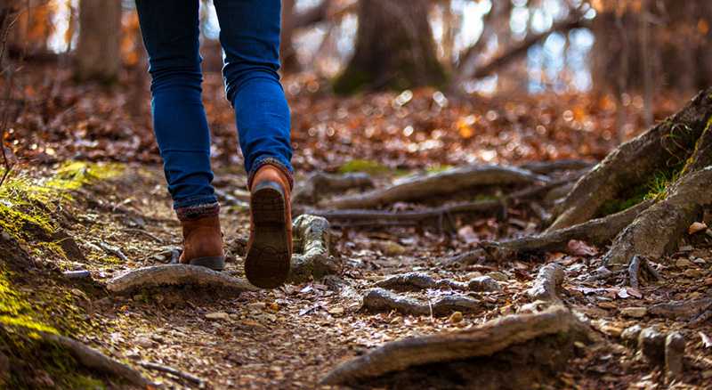 A person walks in the woods.