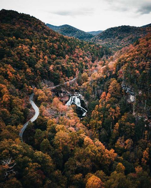 View of waterfalls and forests in North Carolina, the state where our BCBS drug rehab is located.